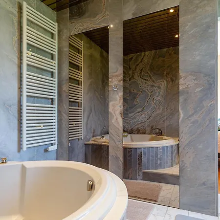 Renovee Pres De Nancy Avec - Fr-1-584-375 Dombasle-sur-Meurthe